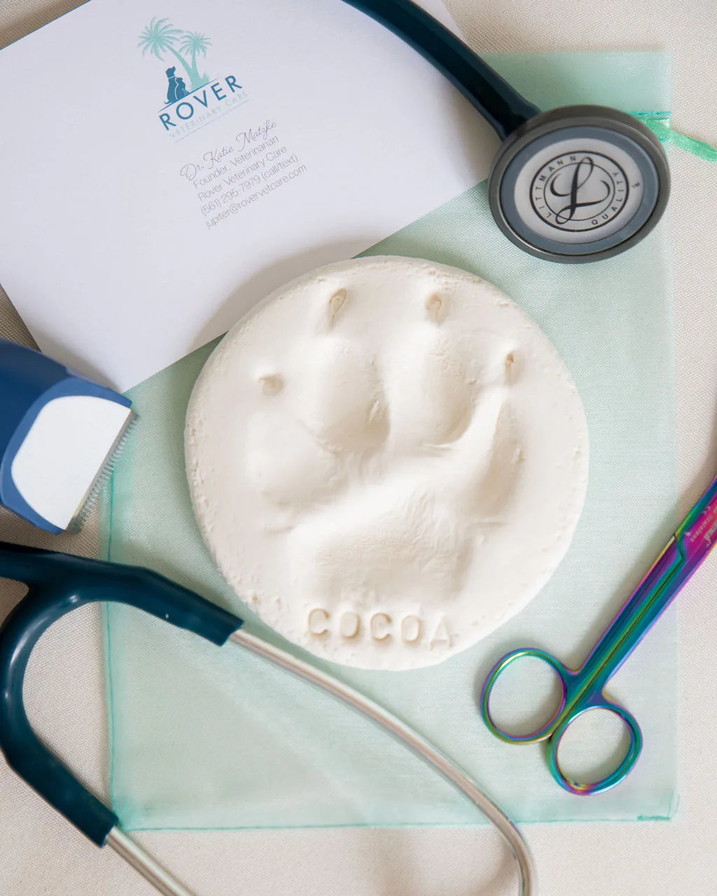 A Rover clay pawprint keepsake, included with every visit