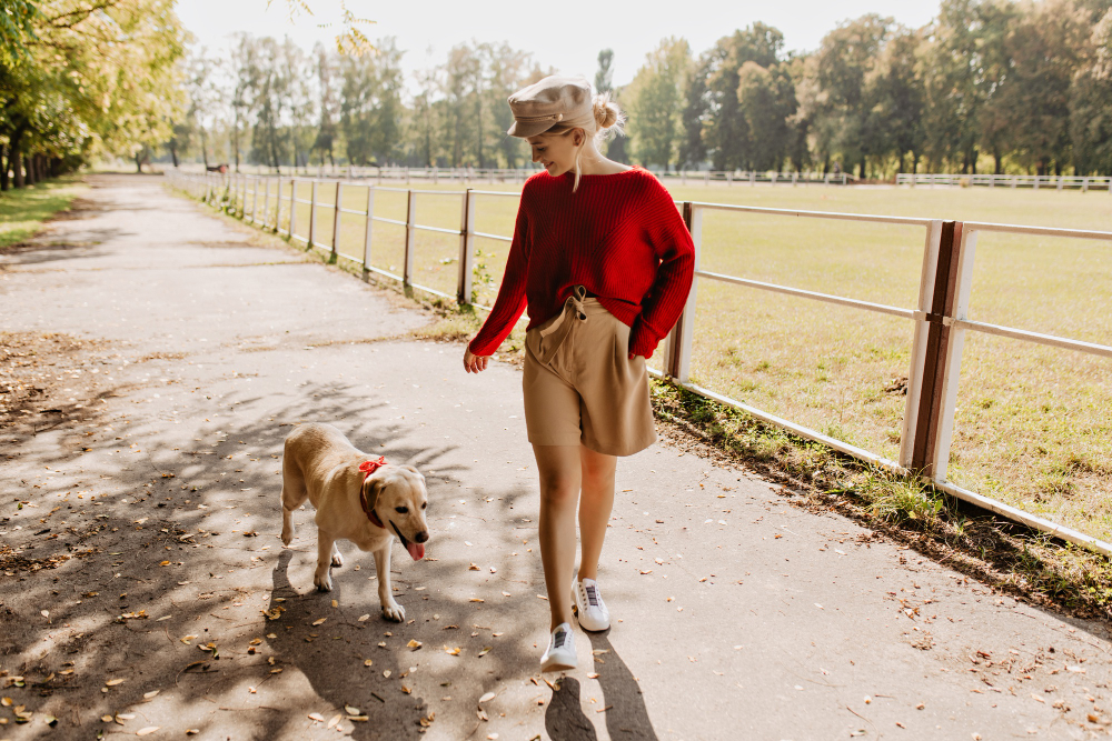 Ways to Ease Your Senior Pet’s Mobility
