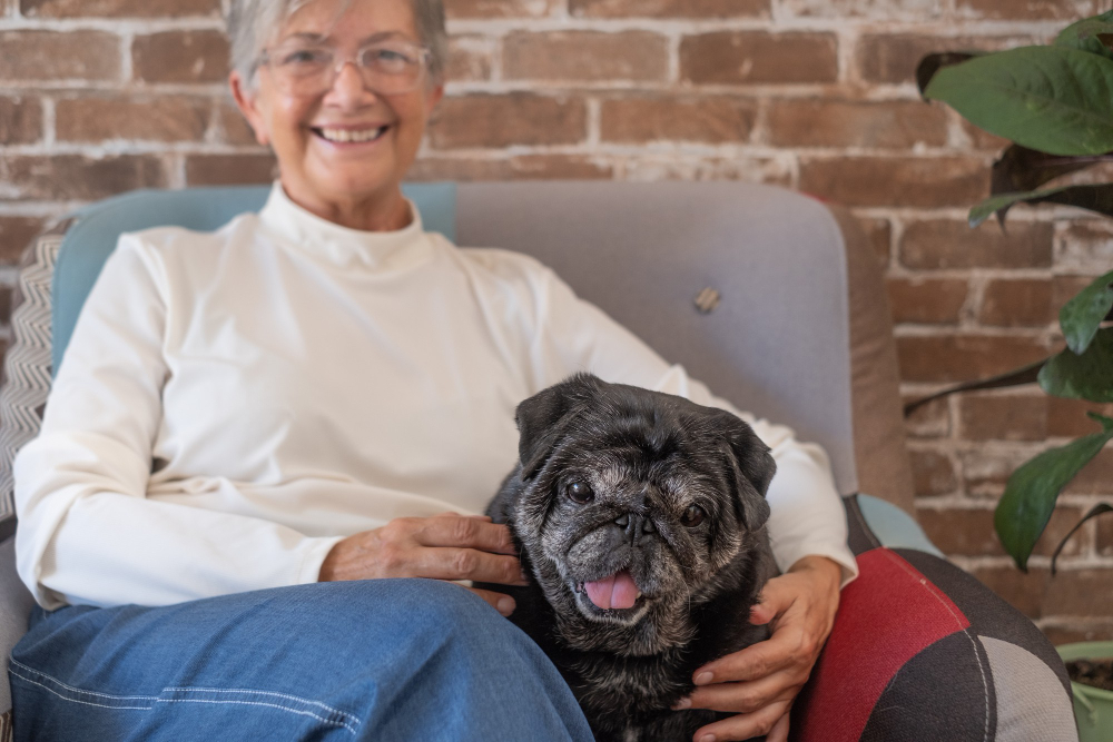 What Every Senior Dog Owner Needs to Know