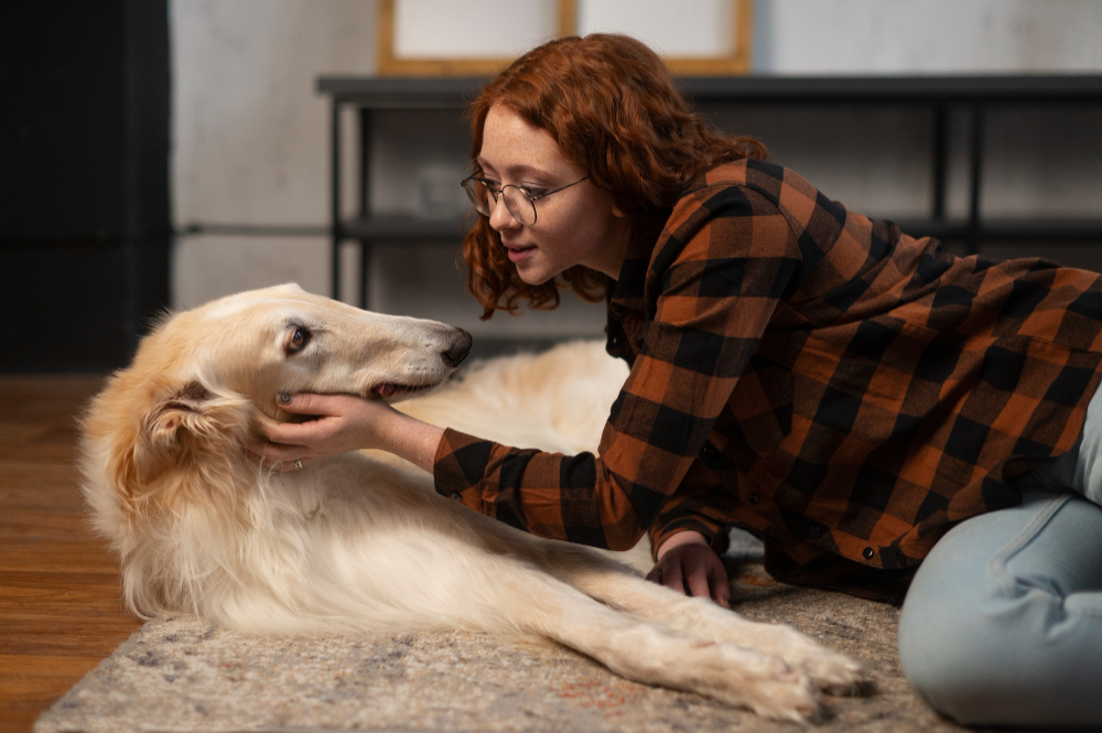 When At-Home Care Becomes Essential: Supporting Dogs with Mobility Issues