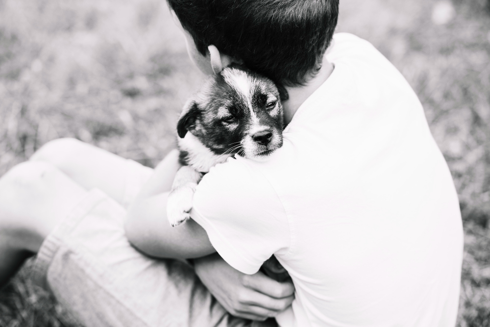 Honoring Your Pet: Memorial Ideas After Euthanasia