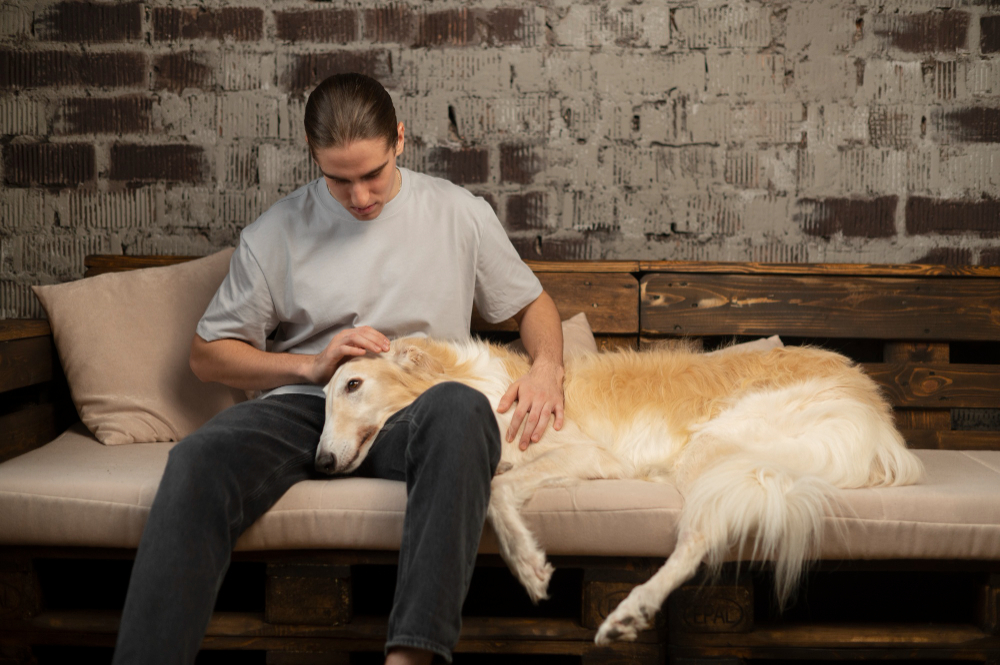 How to Choose the Right Clinic for Your Pet's Final Journey