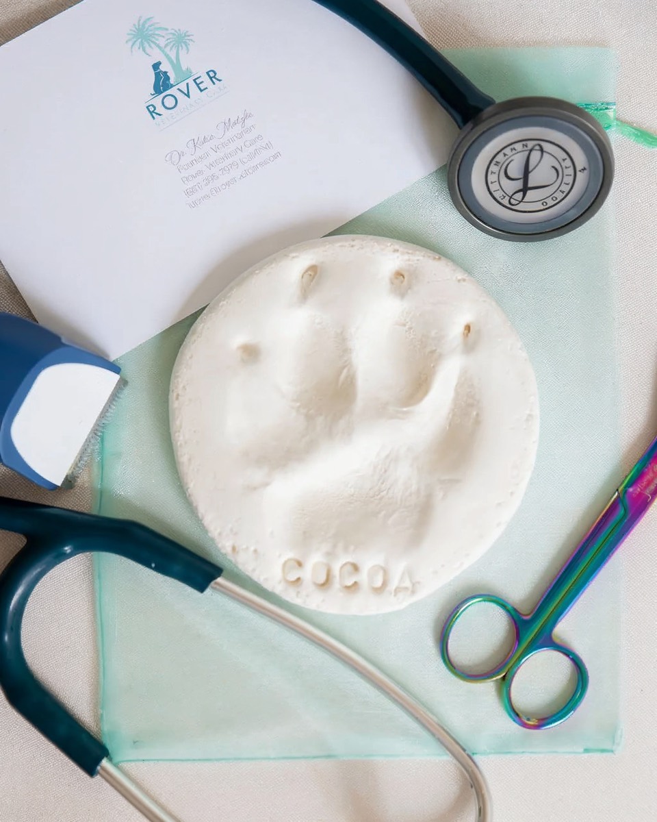 How Much Does It Cost to Cremate a Dog in Jupiter, Florida?