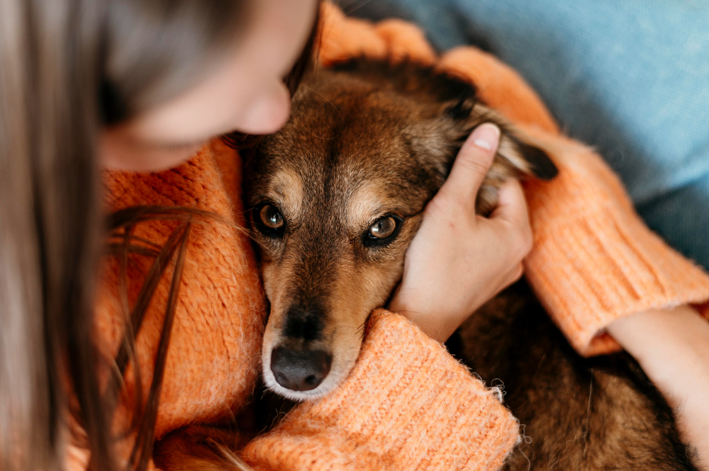 How To Measure Your Pet's Quality of Life Before Making Difficult Decisions