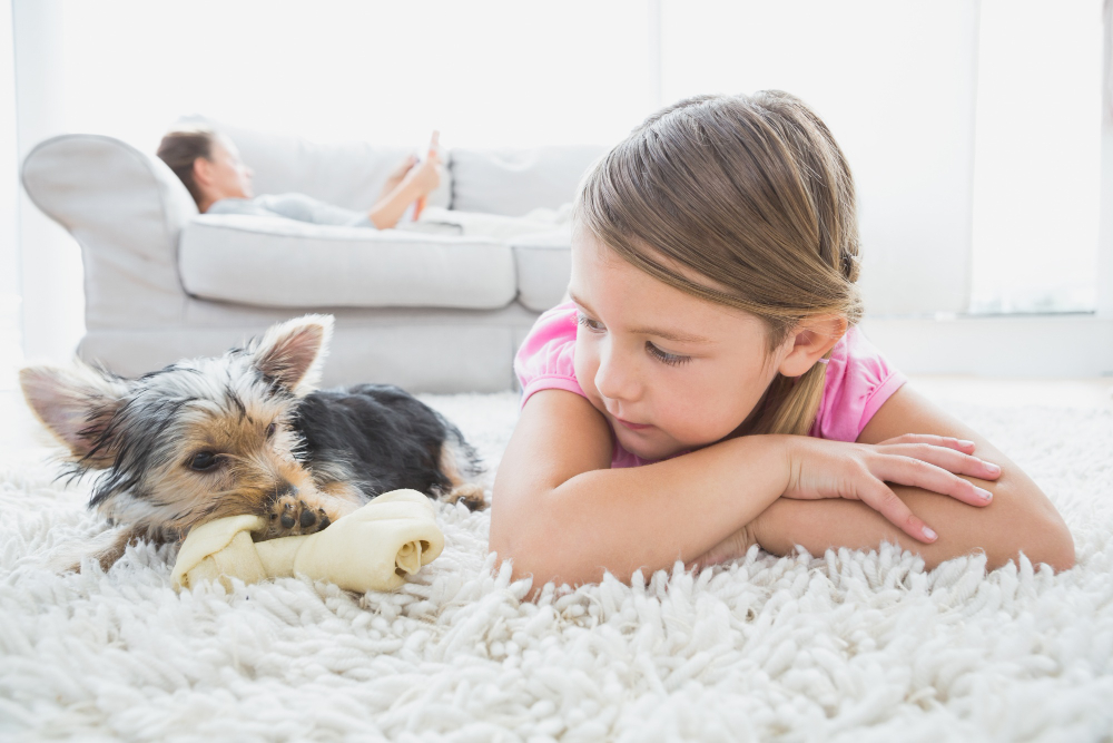 How to Talk to Children About Pet Euthanasia