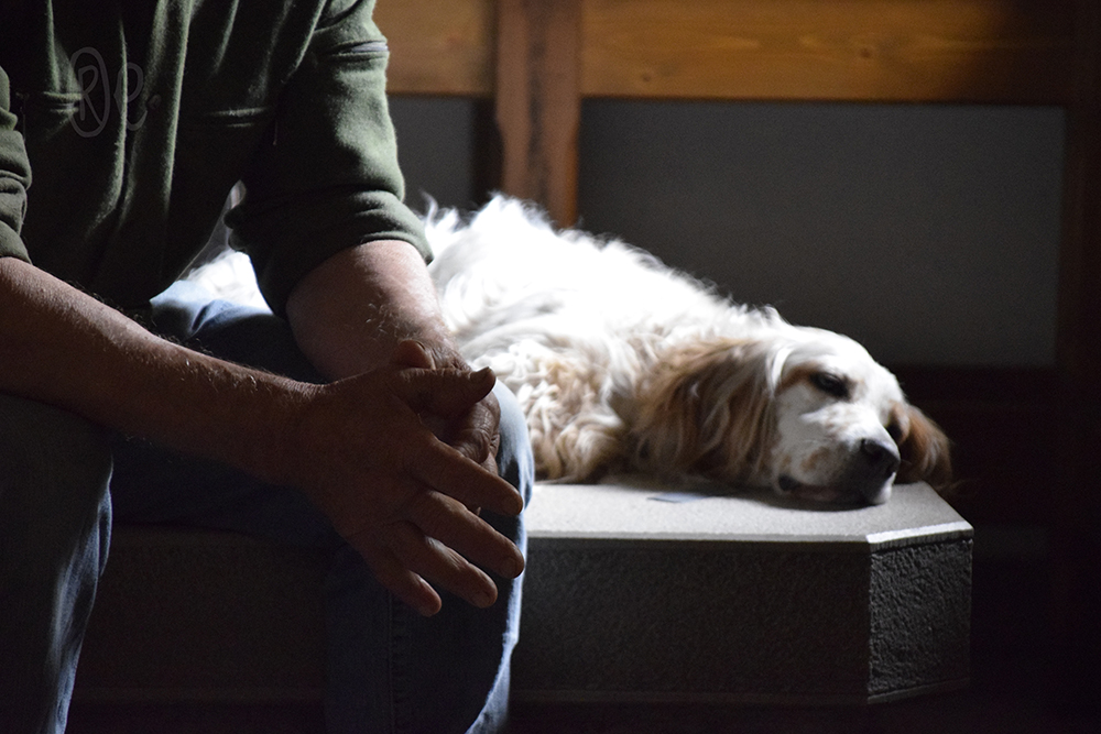 In-Home Euthanasia: A Gentle Goodbye for Your Dog