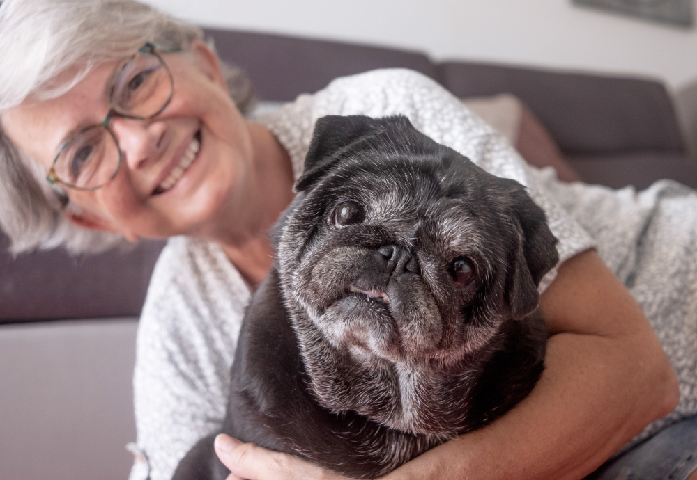 Seizures in Older Dogs: What Jupiter Pet Owners Need to Know