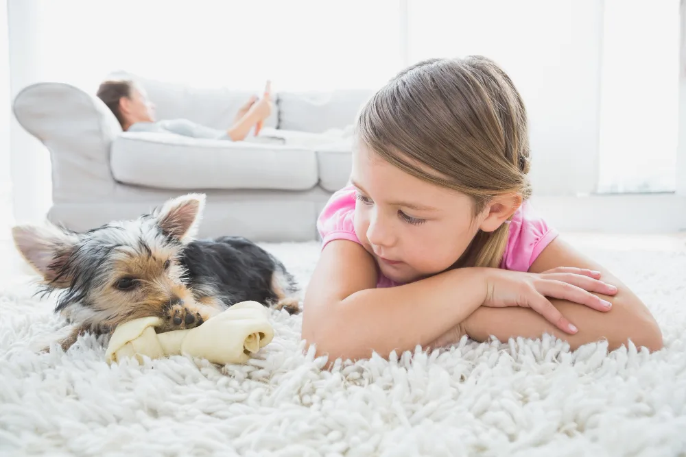 How to Talk to Children About Pet Euthanasia
