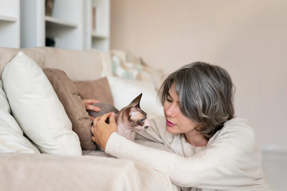 Understanding the Euthanasia Process