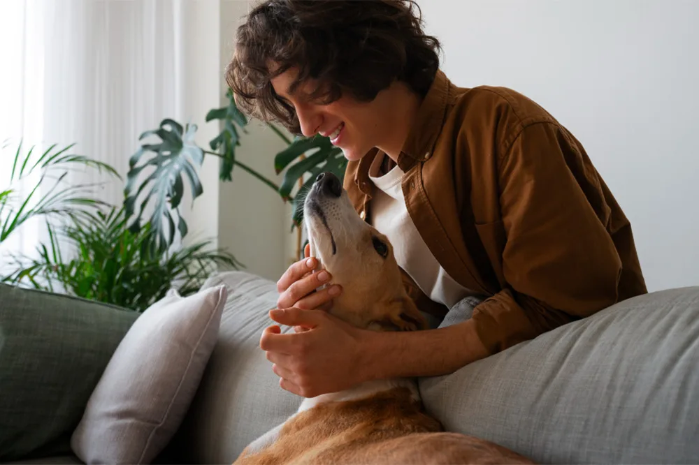 Aftercare: What Happens After In-Home Euthanasia?