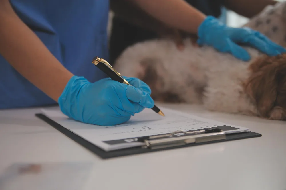 The Paperwork for In-Home Pet Euthanasia